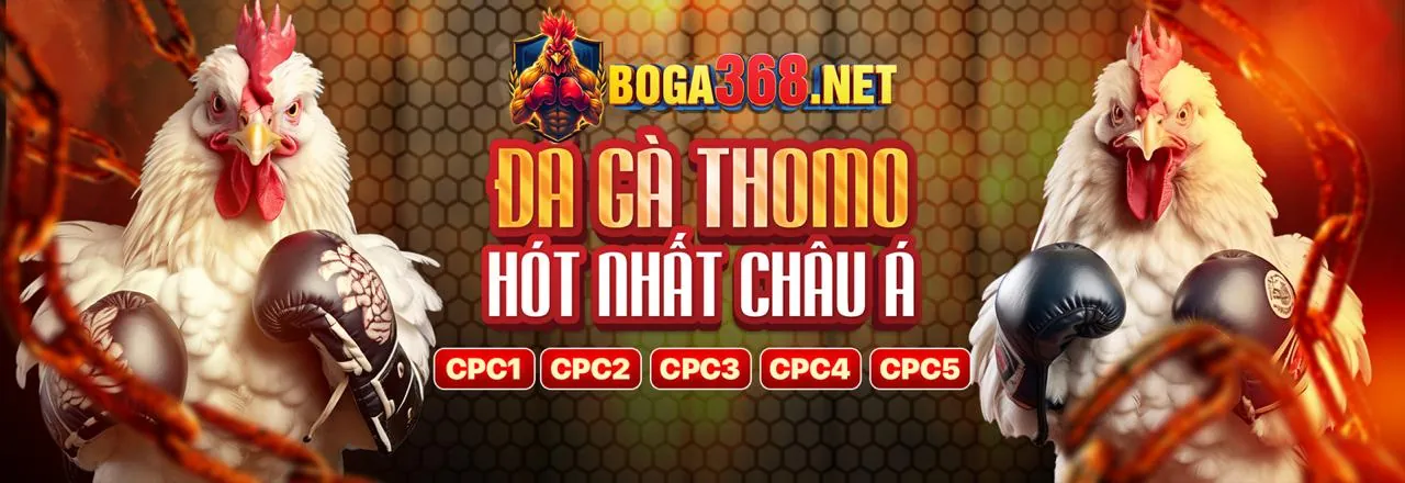 Sân vận động với ánh đèn rực rỡ và logo Vipwin, thể hiện sự phấn khích của cá cược thể thao tại Vipwin Link Vào