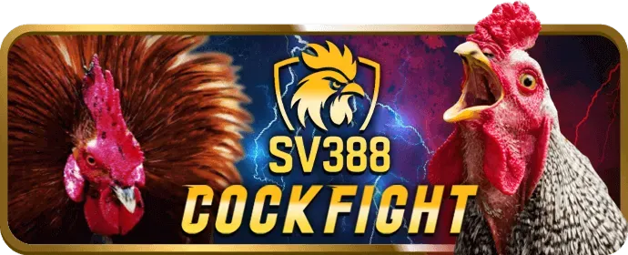 Hoàn Trả Không Giới Hạn Vipwin